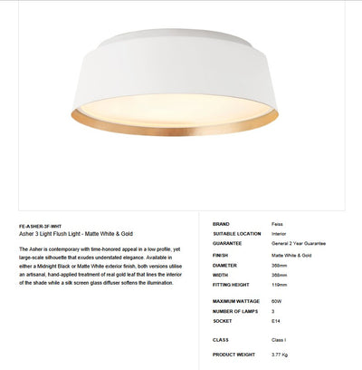 Asher 3 Light Flush Light - Matte White - Clicklights Shop