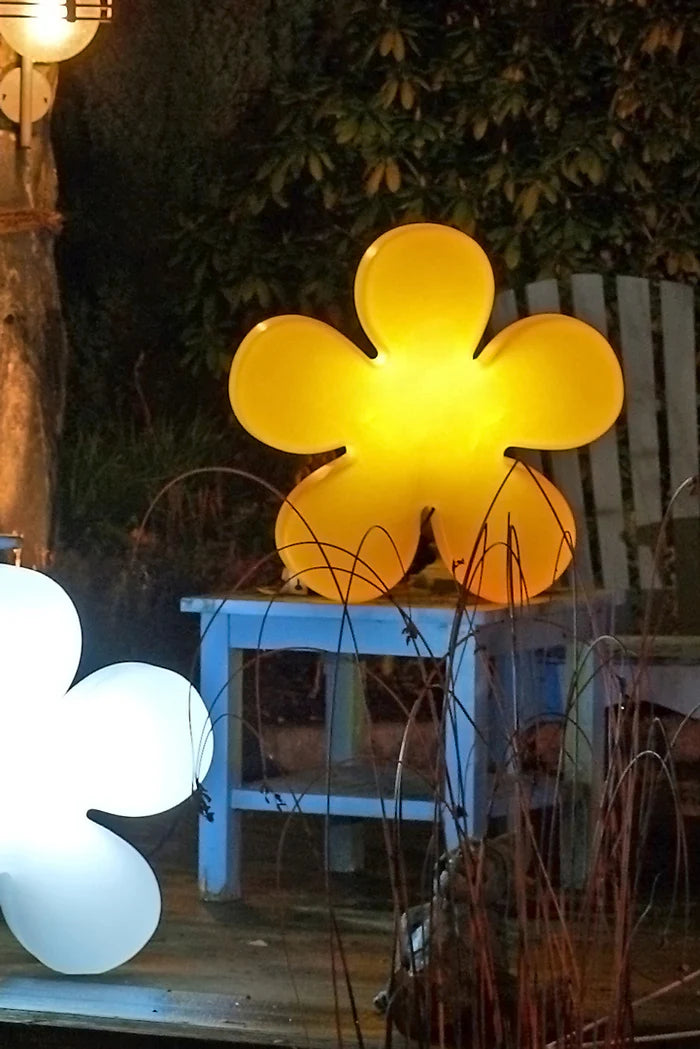 Shining Flower (Blume)
