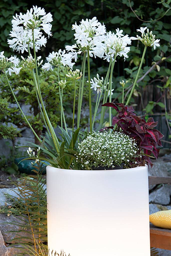 LED Blumentopf Shining Elegant Pot XL - Clicklights Shop