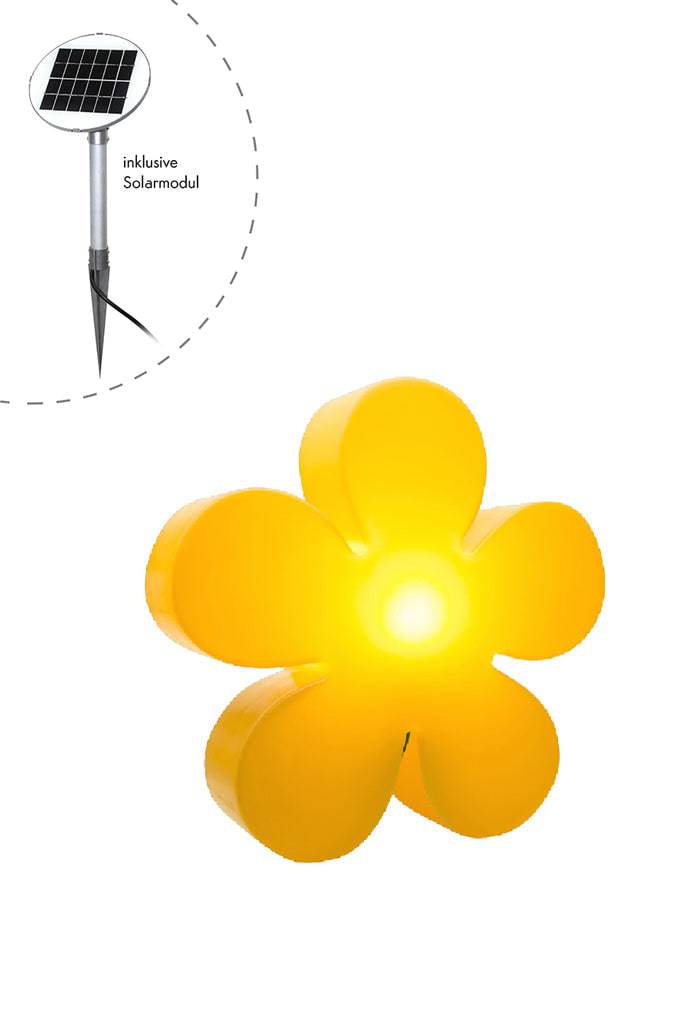 Motivleuchte Shining Flower - Clicklights Shop