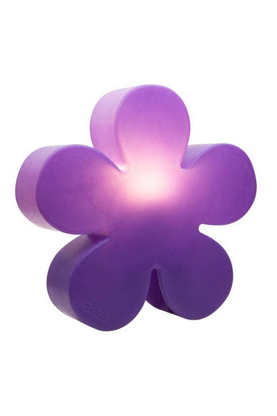 Motivleuchte Shining Flower - Clicklights Shop