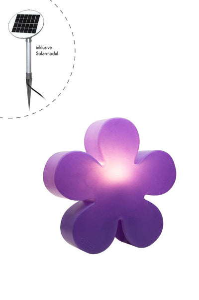 Motivleuchte Shining Flower - Clicklights Shop