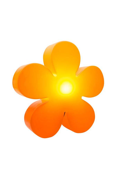 Motivleuchte Shining Flower - Clicklights Shop