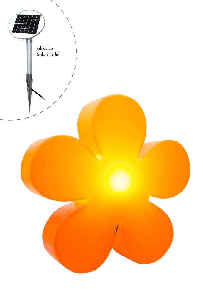 Motivleuchte Shining Flower - Clicklights Shop