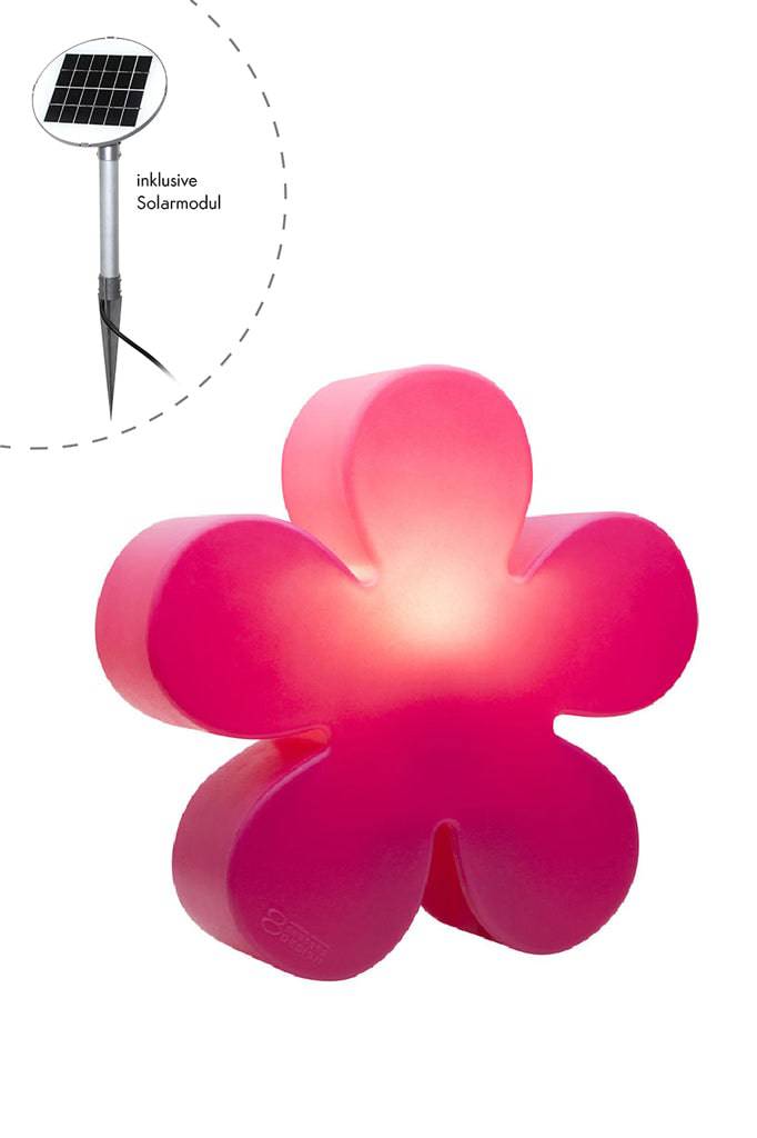 Motivleuchte Shining Flower - Clicklights Shop