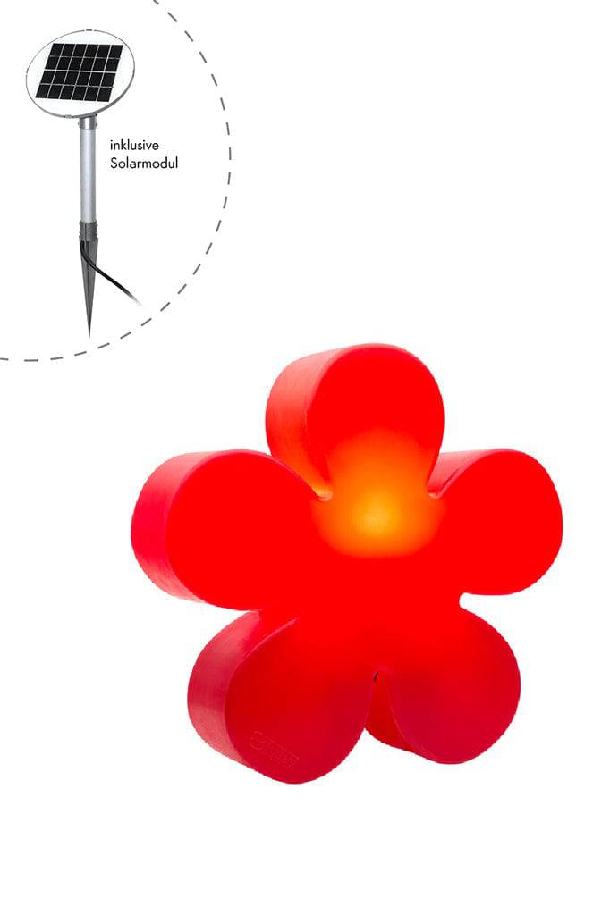 Motivleuchte Shining Flower - Clicklights Shop