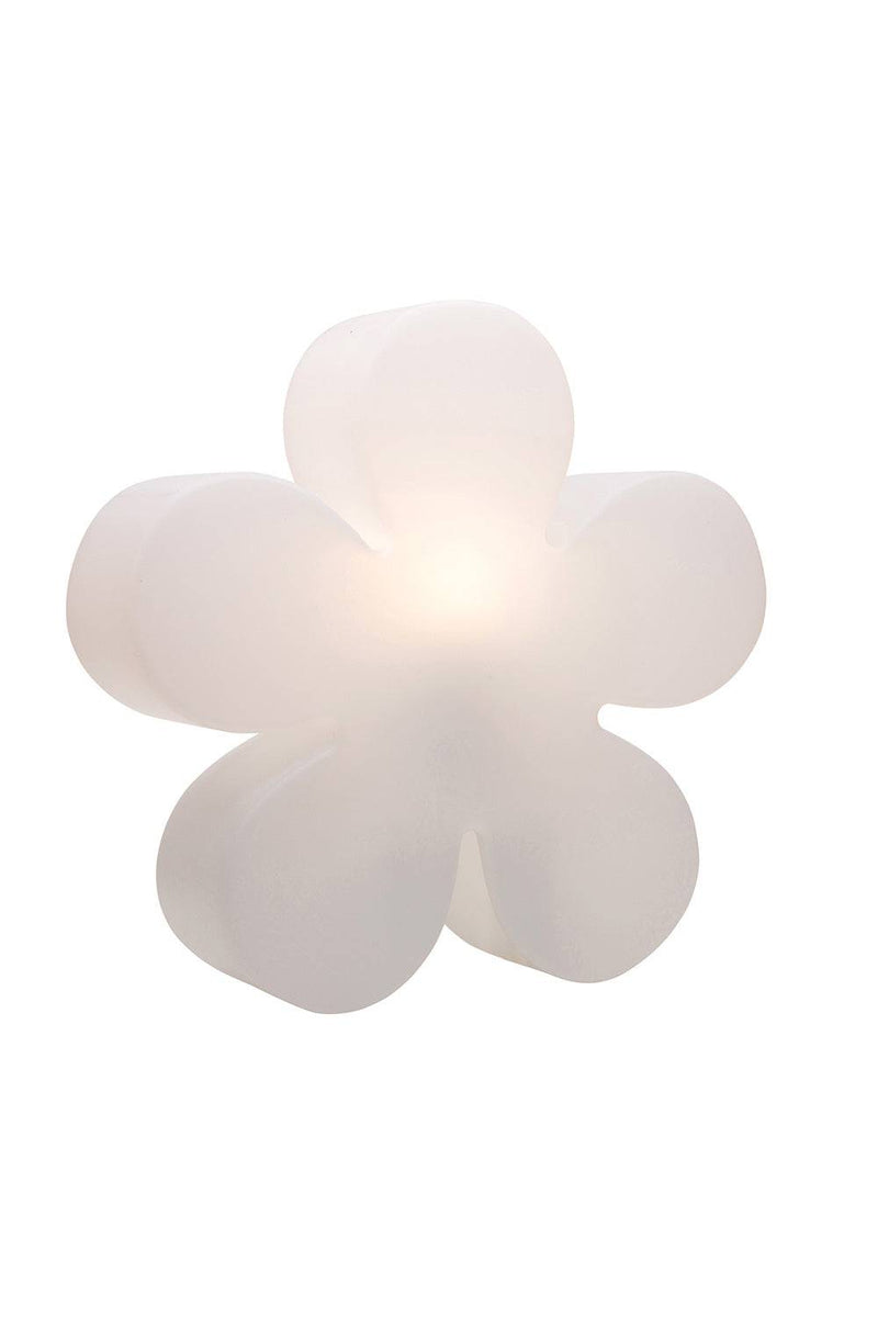 Motivleuchte Shining Flower - Clicklights Shop