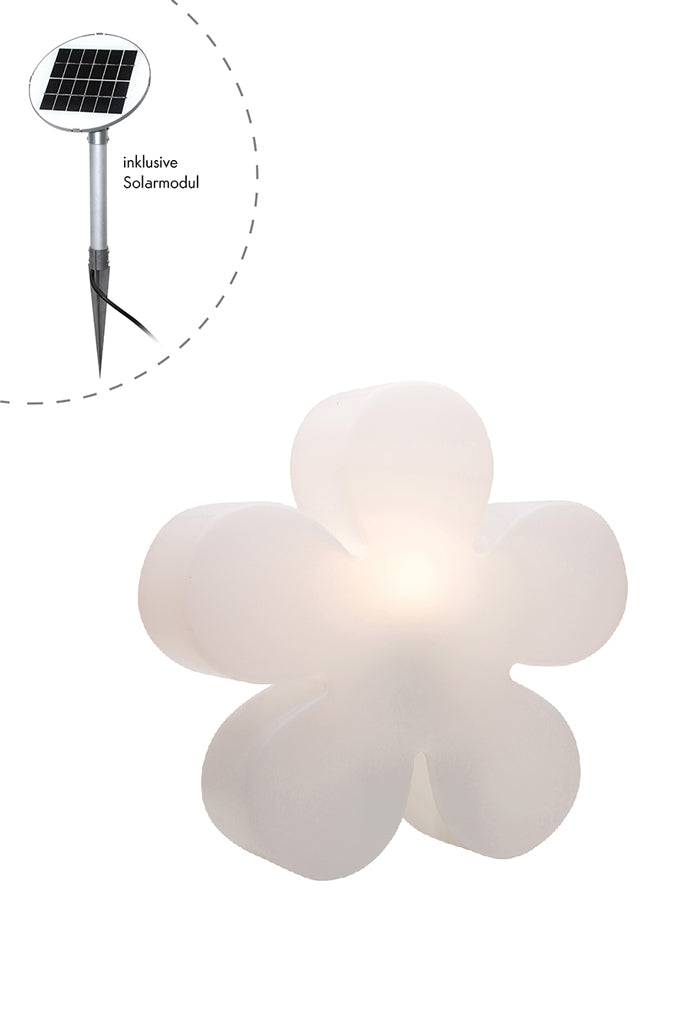 Motivleuchte Shining Flower - Clicklights Shop