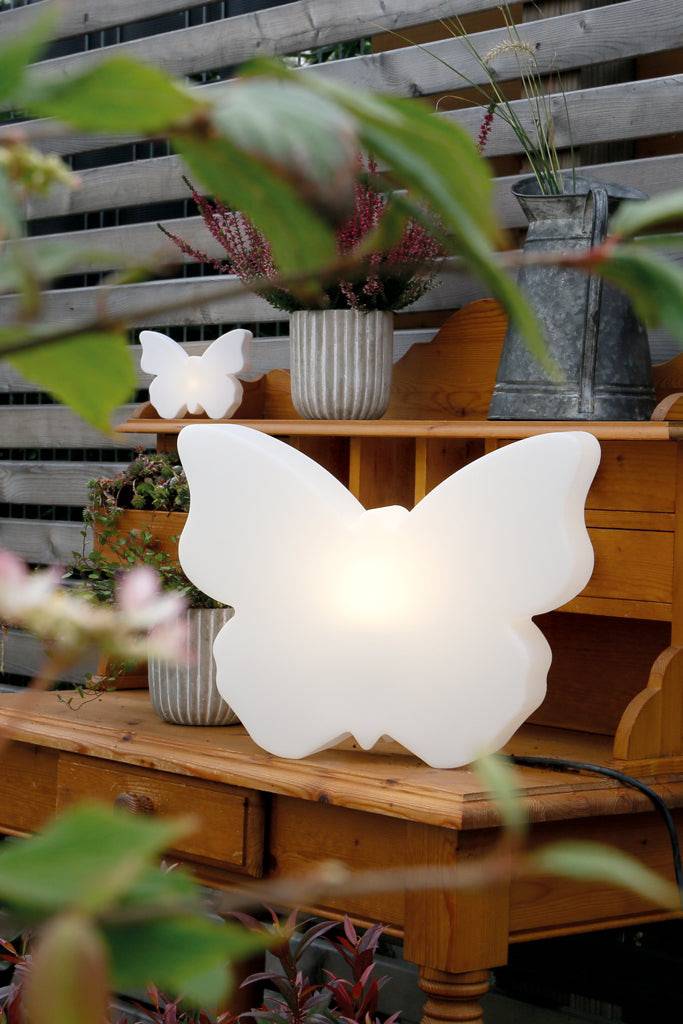 Motivleuchte Shining Butterfly - Clicklights Shop