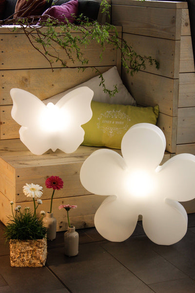 Motivleuchte Shining Flower - Clicklights Shop