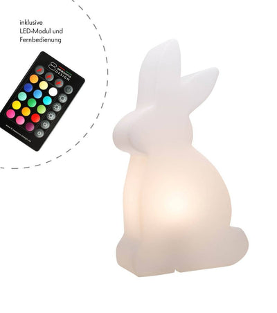 Shining Rabbit  Motivleuchte - Clicklights Shop