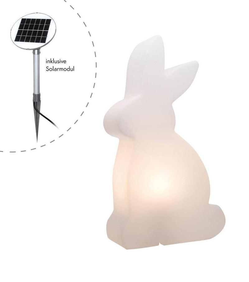 Shining Rabbit  Motivleuchte - Clicklights Shop