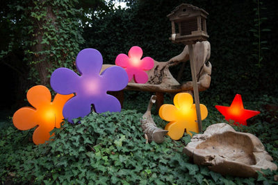 Shining Flower - Clicklights Shop